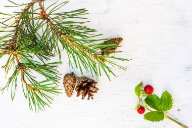 Çamlık dallı çilek ve kozalaklı eski ahşap masa.