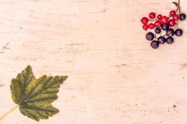 Kırmızı frenk üzümü ve siyah frenk üzümü Eski ahşap masa üzerinde yaprak