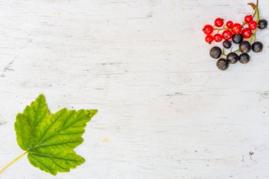 Kırmızı frenk üzümü ve siyah frenk üzümü Eski ahşap masa üzerinde yaprak