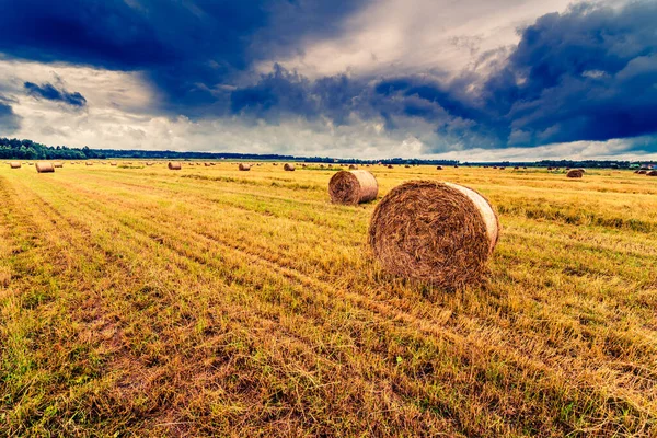 Fırtınadan Önce Tarlada Saman Yığını — Stok fotoğraf