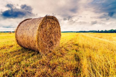 Fırtınadan önce tarlada saman yığını, manzarayı kapat