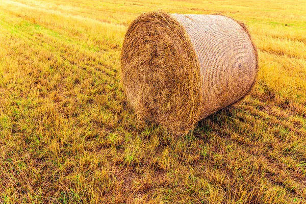 Haystack Field Close View — Stock Photo, Image