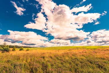 Kümülüs bulutları ormandaki güneşli tepe tarlalarının üzerinde.