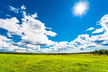 Kümülüs bulutları ormandaki güneşli tepe tarlalarının üzerinde.