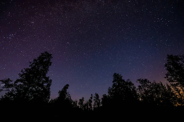 Silueta Del Bosque Cielo Nocturno — Foto de Stock