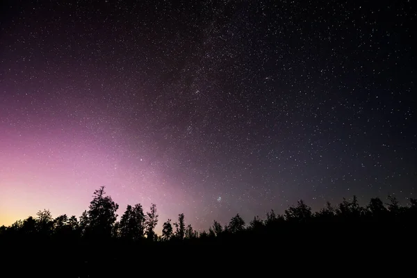 Silueta Del Bosque Cielo Nocturno — Foto de Stock