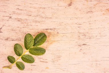 Eski ahşap masada yabani gül yaprakları
