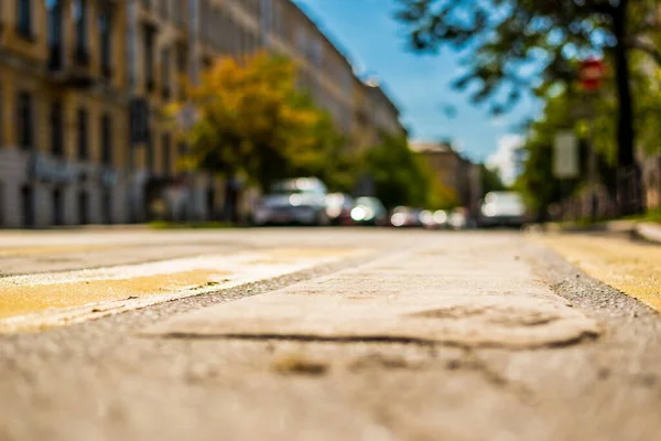 Clear Day Big City Quiet Street Trees Cars — Foto de Stock