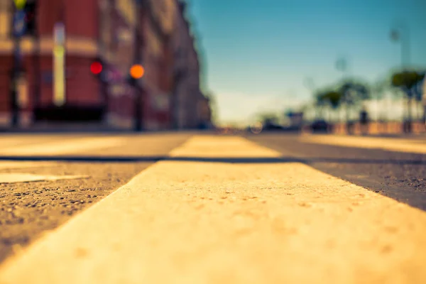 Clear Day Big City Quiet Street Trees Headlig — Foto de Stock