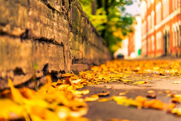 Autumn City Alley Runs Houses Park — Foto de Stock