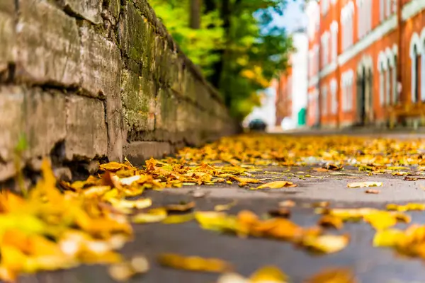 Autumn City Alley Runs Houses Park — 图库照片