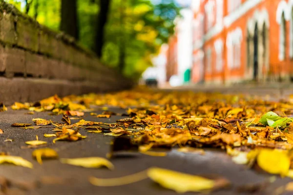 Şehirde Sonbahar Evlerle Park Arasında Uzanan Bir Ara Sokak — Stok fotoğraf