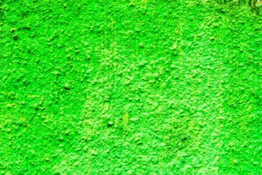 Yeşil beton duvar arkaplanı