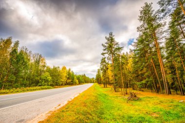Sonbahar ormanı yolu geçmişi