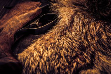 Hayvanın kürkünün yanında duran av tüfeği. Clos 'u Göster