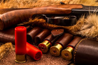 12 kalibrelik deri kurşunlar ve av tüfeği.