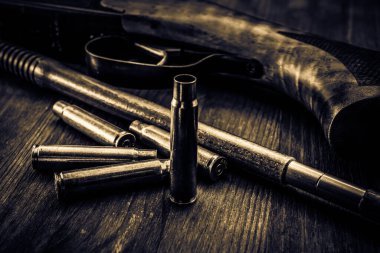 Boş mermili av tüfeği ve temizleme silahı olarak bir ramrod.