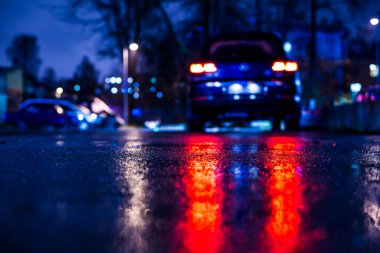 Büyük şehirde yağmurlu bir gece, ağaçlar ve park edilmiş bir sokak. 