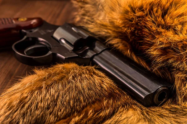 Revolver Lying Fur Animal Close View — 图库照片