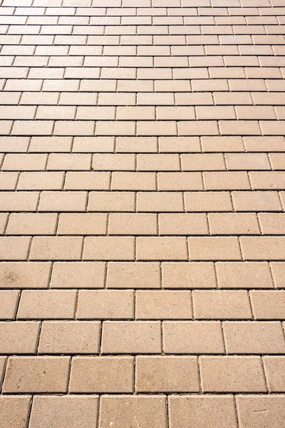 Güneş ışığında kaldırım taşları.