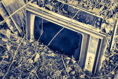 Ormanda terk edilmiş kırık retro televizyon.