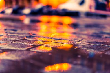 Akşam şehrinin parlak ışıkları, bir su birikintisinde yansıma