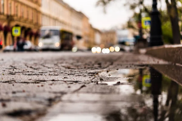雨の後に石で舗装された市中心部の広場 — ストック写真