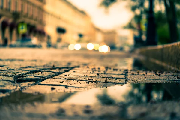 City Central Square Paved Stone Rain Headlights — Stock Photo, Image