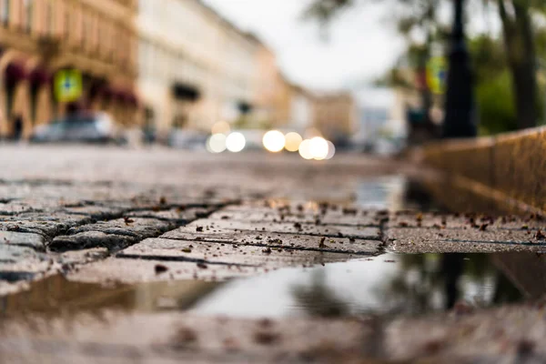 雨の後に石で舗装された市の中心部の広場 ヘッドライトをFr — ストック写真