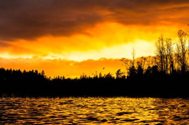 Orman gölünde gün batımı. Karşıt görünüm