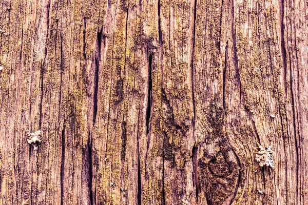 Old cracked wood with knots