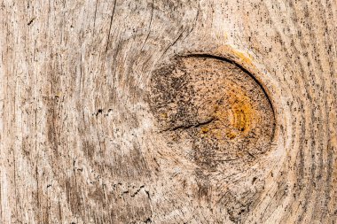 Düğümlü eski kırık ahşap