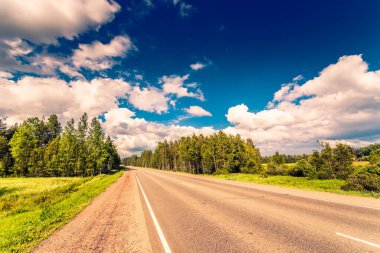 Kırsal yol, güneş ışığıyla aydınlatılmış tarlalardan ve ormanlardan geçiyor. Yoldan görüntüle