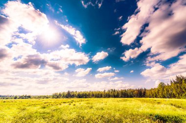 Güneş kümülüs bulutlarından çıkar ve bir alanı aydınlatır.
