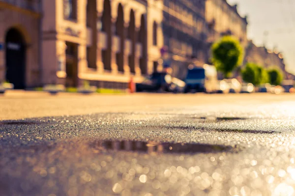 Ciudad Día Soleado Una Calle Tranquila Después Lluvia Con Árboles — Foto de Stock