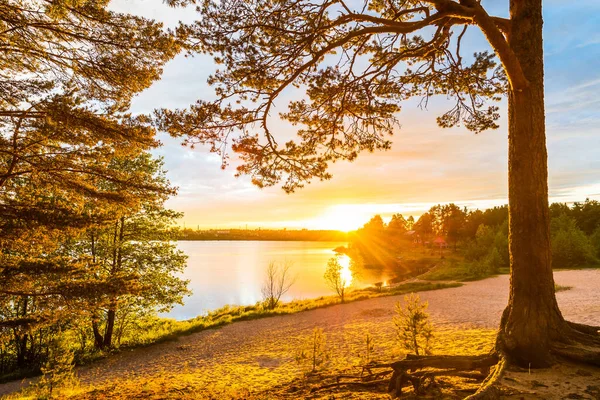 Tramonto Una Spiaggia Sabbia Una Pineta Vicino Villaggio — Foto Stock