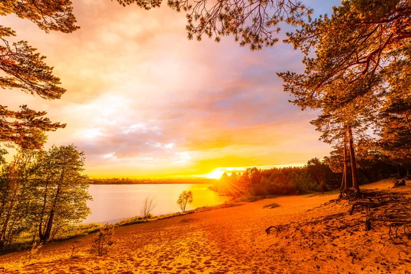 Tramonto Una Spiaggia Sabbia Una Pineta Vicino Villaggio — Foto Stock