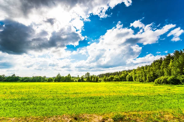 Cumuluswolken Über Einem Sonnenbeschienenen Feld Wald — Stockfoto