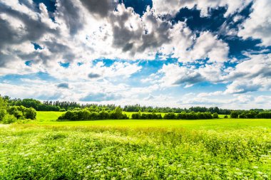 Güneş ışığı bulutların arasından öndeki tarlaya vuruyor.