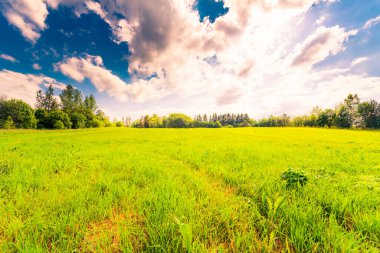 Güneş ışığı bulutların arasından öndeki tarlaya vuruyor.