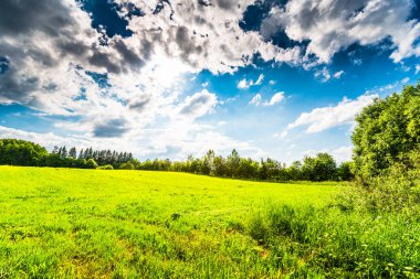 Güneş ışığı bulutların arasından öndeki tarlaya vuruyor.