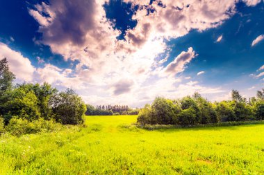 Güneş ışığı bulutların arasından öndeki tarlaya vuruyor.