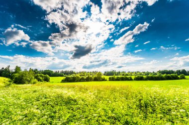 Güneş ışığı bulutların arasından öndeki tarlaya vuruyor.