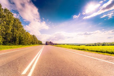 Kırsal yol, güneş ışığıyla aydınlatılmış tarlalardan ve ormanlardan geçiyor. Yoldan görüntüle