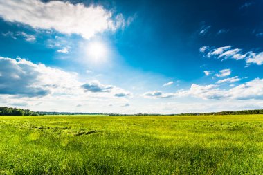 Güneş kümülüs bulutlarından çıkar ve ormandaki tarlaları aydınlatır.