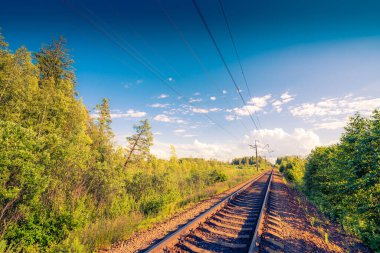 Demiryolu uzaklığa doğru çekiliyor, ormandan geçiyor.