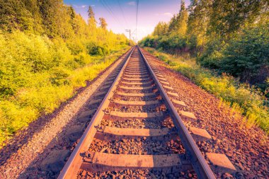 Demiryolu uzaklığa doğru çekiliyor, ormandan geçiyor.