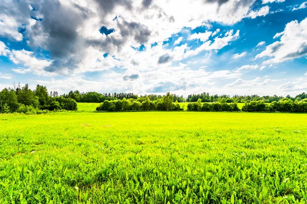 Güneş ışığı bulutların arasından öndeki tarlaya vuruyor.
