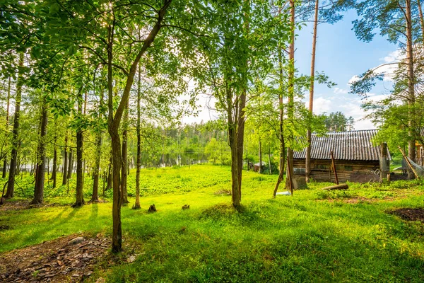 Orman gölünün kıyısında, güneş gören bir kulübe.
