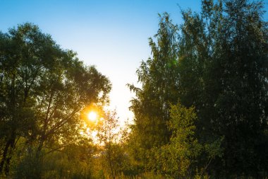 Şehirde günbatımı